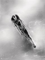 组图：超模卡洛琳-莫菲登《Vogue》秀性感泳装