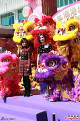 组图：杨千嬅亮相贺岁活动 桃花服饰优雅喜庆