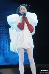 组图：王菲香港演唱会开场 刘嘉玲李亚鹏现身支持