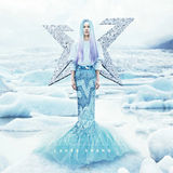 组图：2013年中国TOP排行榜颁奖晚会入围名单