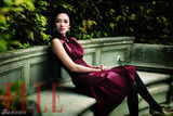 组图：章子怡登《ELLE》封面 用勇气力量面对新轮回