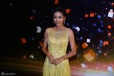 组图：2013新浪微博之夜红毯 杨恭如嫩黄裙妩媚