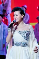 高清组图：双拥晚会 谭晶献唱《心心相印》