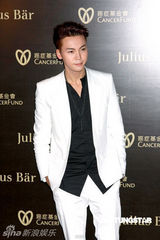 幻灯图：熊黛林李玟乐基儿何超仪等齐聚慈善晚宴