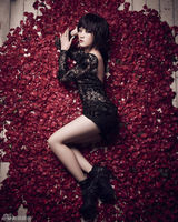 策划：鹿晗宋茜KRIS 韩国爱豆中国制造