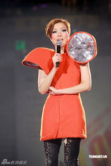 高清组图：郑秀文香港红馆开唱 与刘德华贴面掀高潮