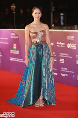 组图：亚太影展红毯生辉 刘嘉玲露半球曾宝仪秀美背