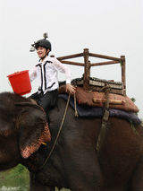 组图：曾轶可亮相《纵横四海》为爱挑战