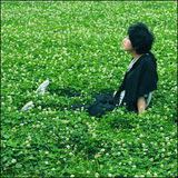 幻灯组图：李霄云素雅淡定 展露清新文艺范儿