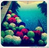 组图：大S办婚礼预热Party 小S蔡康永等热闹参加