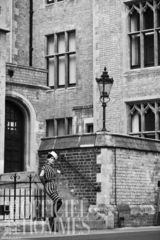 组图：谭晶伦敦复古大片彰显国际范