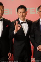 组图：《盲探》剧组走红毯 刘德华帅气现身