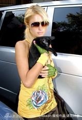 幻灯图集：帕丽斯-希尔顿与宠物狗形影不离