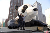 组图：郭富城刘嘉玲现身成都 合影大熊猫装置