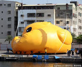 组图：小黄鸭充气萌翻路人 从“荷包蛋”变成鸭