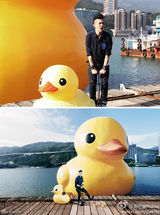 组图：大黄鸭袭港引热潮 刘德华余文乐童心未泯