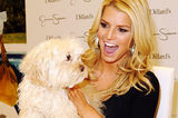 组图：欧美巨星晒宠物合照 天王天后大秀爱心