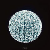 组图：第一届新锐艺术人物评选活动获奖者作品展示