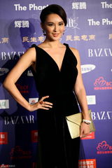 组图：群星亮相BAZAAR明星慈善夜红毯星光熠熠