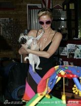 幻灯图集：帕丽斯-希尔顿与宠物狗形影不离