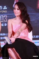 组图：《请叫我英雄》首映 钟丽缇火辣身材PK蓝燕