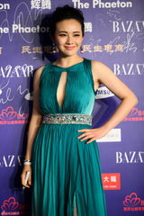 组图：群星亮相BAZAAR明星慈善夜红毯星光熠熠