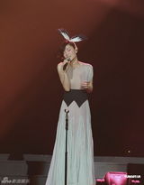 组图：王菲演唱会众星捧场 带众人为灾民祈福