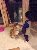 黄觉儿子吃饭睡觉打菜菜 网友齐呼爸爸去哪儿