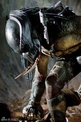 幻灯：新版电影《铁血战士》新剧照公布