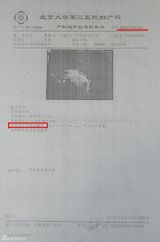 幻灯图:知情人提供方芳B超和医生笔录 称其自然流产