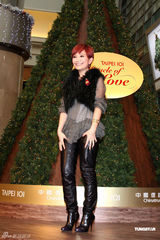 组图：梁静茹为圣诞树点灯 新专辑造型吓到歌迷