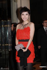 组图：杨千嬅丁子高大摆婚宴 众星盛装齐来祝贺