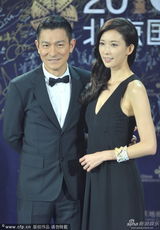 组图：《富春山居图》刘德华林志玲郎才女貌