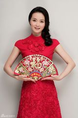 高清图：王艳贺岁写真曝光 温情演绎喜庆中国风