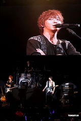 组图：韩国型男乐团CNBLUE开唱 粉丝爆满场面热闹