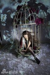 组图：大岛优子毕业解放 性感黑薄纱露圆规奶