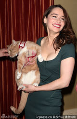 组图：《蒂凡尼的早餐》喵星人对美女不感冒