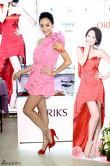 组图：关颖桃红礼服惹眼 主演影片入围金马奖