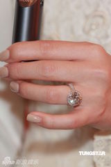 组图：孟瑶大婚王晶等捧场 豪花千万打造殿堂级婚宴