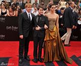 高组图：《哈7下》纽约首映 艾玛低胸礼服亮相