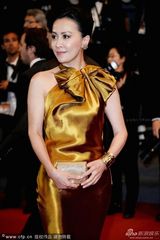 组图：梁朝伟夫妇戛纳走红毯 刘嘉玲金裙气场足