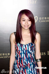 幻灯图：熊黛林李玟乐基儿何超仪等齐聚慈善晚宴