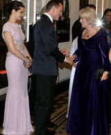 组图：英国皇室捧场007首映 克雷格突发不适