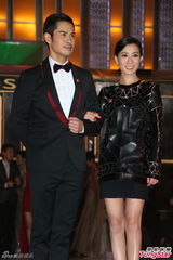 组图：TVB2014巡礼全员出动 女星竞艳旧爱相逢