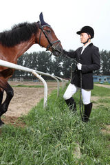 组图：杨志刚骑士造型写真展多面风采