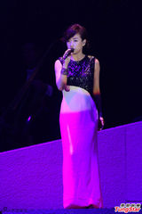 组图：梅艳芳逝世十周年 圈中好友登台悼念