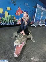 组图：Hebe小清新游墨尔本 Selina鳄鱼口逃生