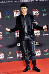 组图：MAMA红毯百张美图中韩明星争艳 韩彩英典雅