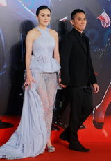 组图：《宗师》剧组压轴红毯 女星争秀美胸美背