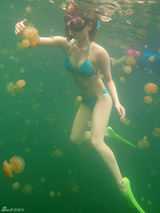 组图：演员赵柯潜水写真展娇美身材